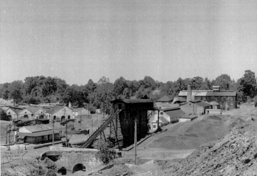 Foto: José Damásio da Ribeiro