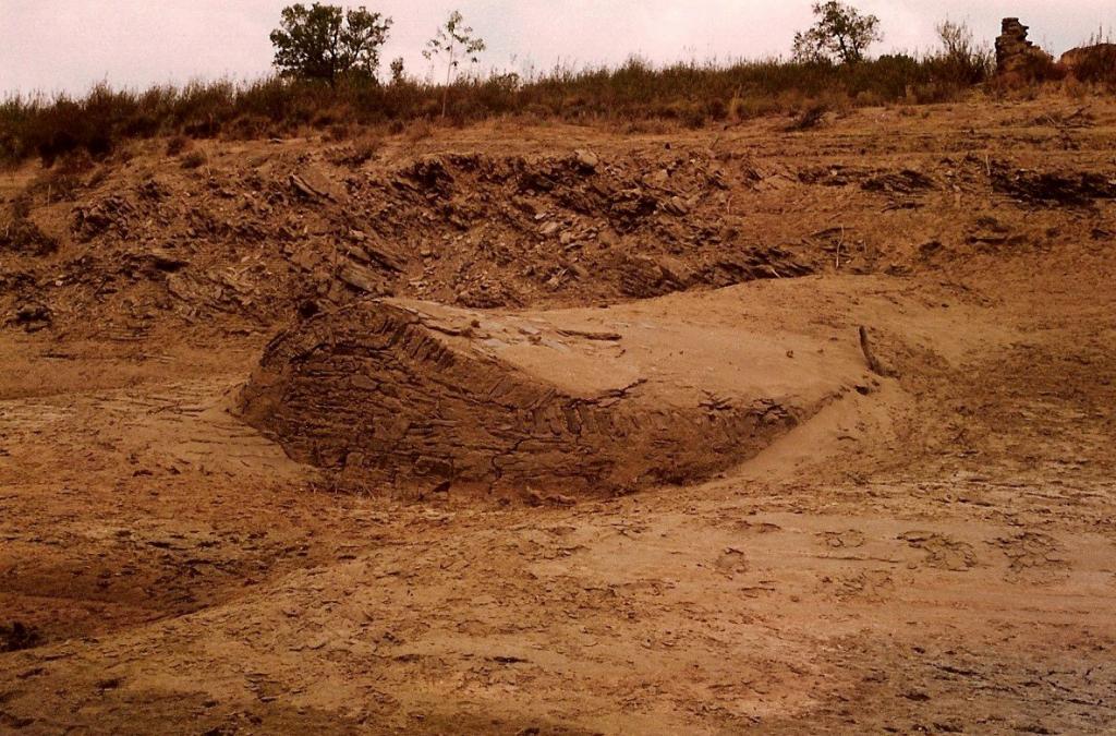 <font size=1>Subterrado com os sedimentos da albufeira do Chança - Autor: Pedro Soeiro</font>